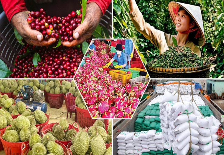 Xuất khẩu nông sản Việt đạt kỷ lục quý I
