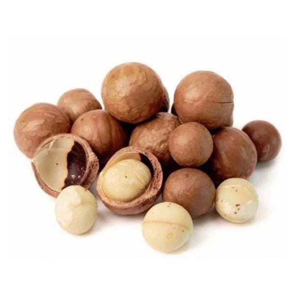 Hạt mắc ca tươi