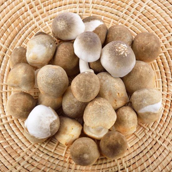 Nấm rơm tươi